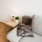 Apartment Krakovska 5